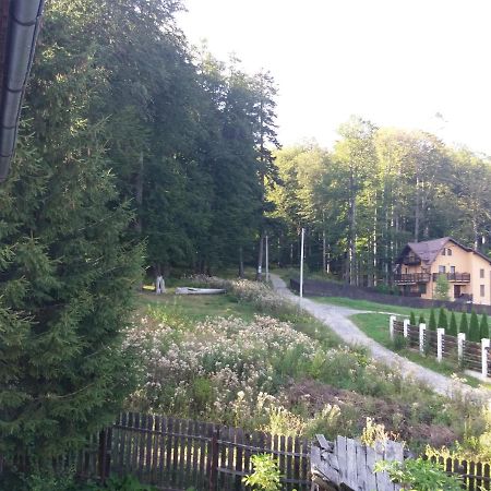 Apartament La Poteca Ursului Lägenhet Buşteni Exteriör bild