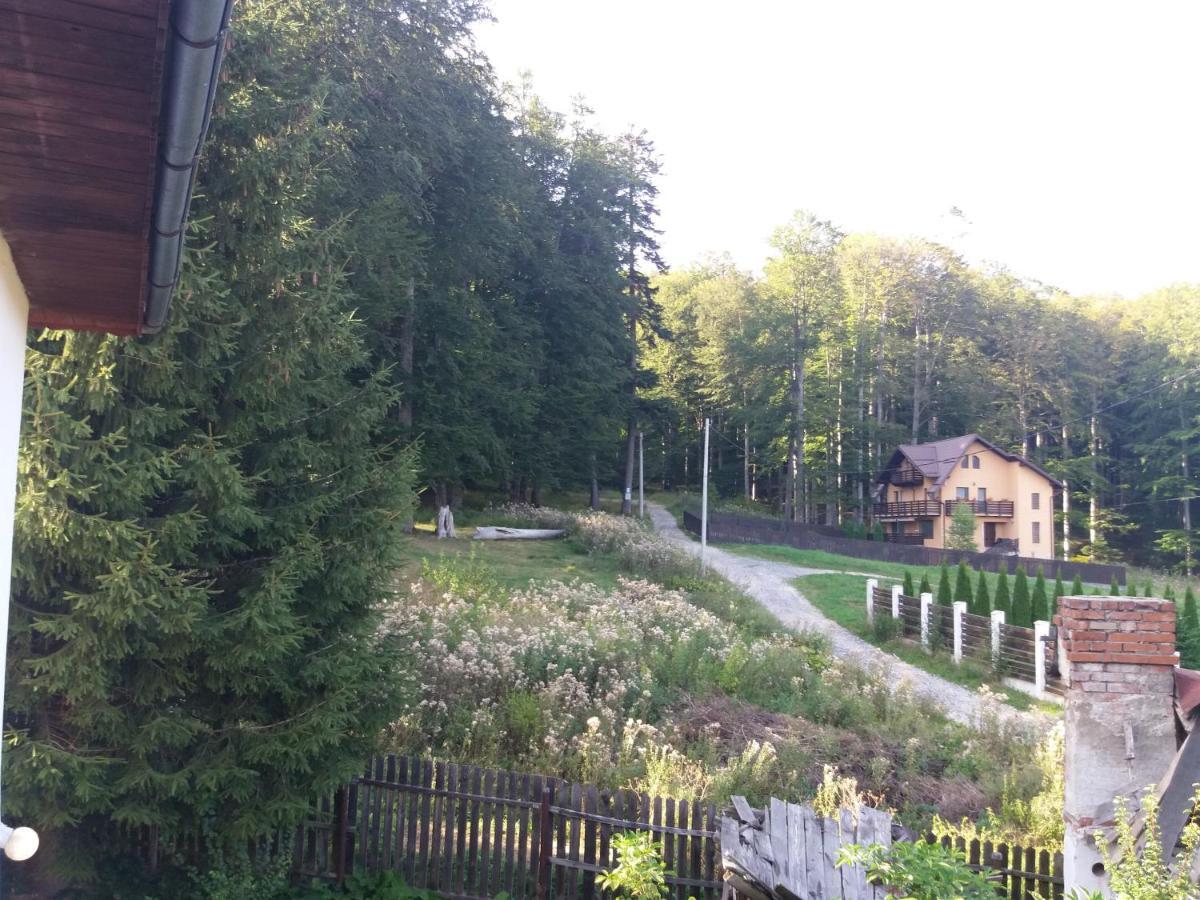 Apartament La Poteca Ursului Lägenhet Buşteni Exteriör bild